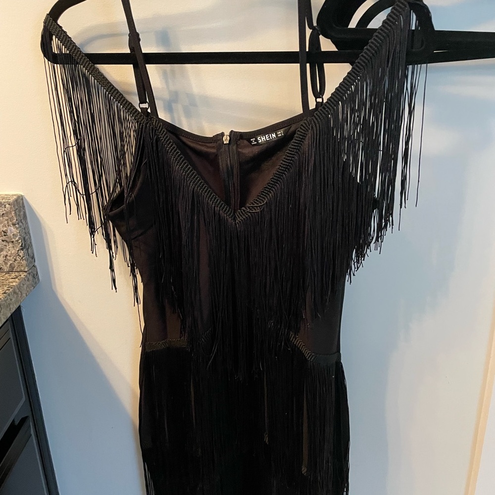 Nwt 20s flapper fringe dress